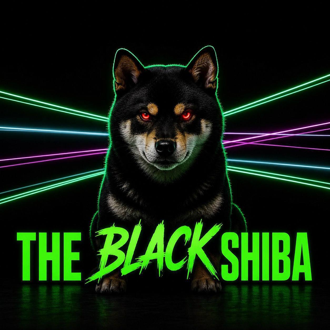 The Black Shiba